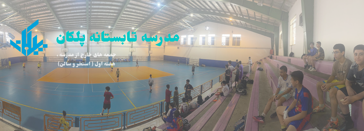 مدرسه هوشمند پلکان
